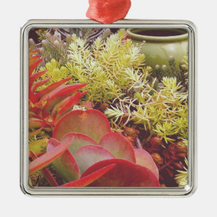 Colourful Succulents Metal Tree Decoration
