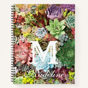 Colourful Succulents Notebook