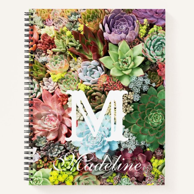 Colourful Succulents Notebook (Front)