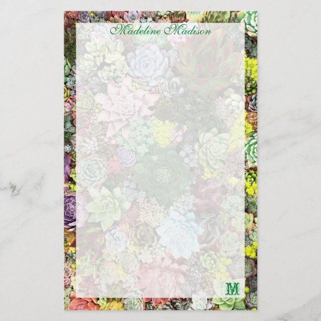 Colourful Succulents Stationery (Front)