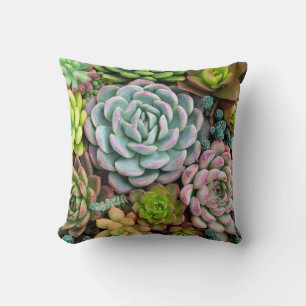 Colourful succulents Throw Pillow