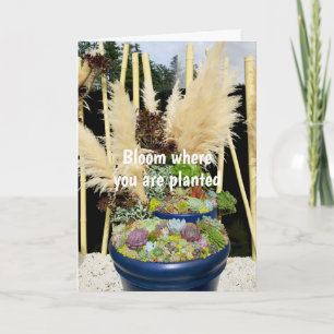 Colourful Succulents with Silver Grass Card