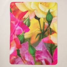 Colourful Summer Roses