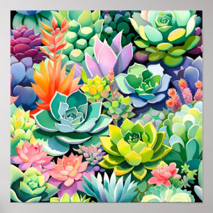 Colourful Summer Succulent Botanical Garden Poster