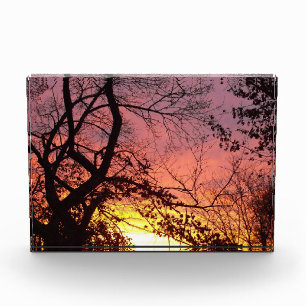 Colourful Sunset Through Bare Trees Photo Block