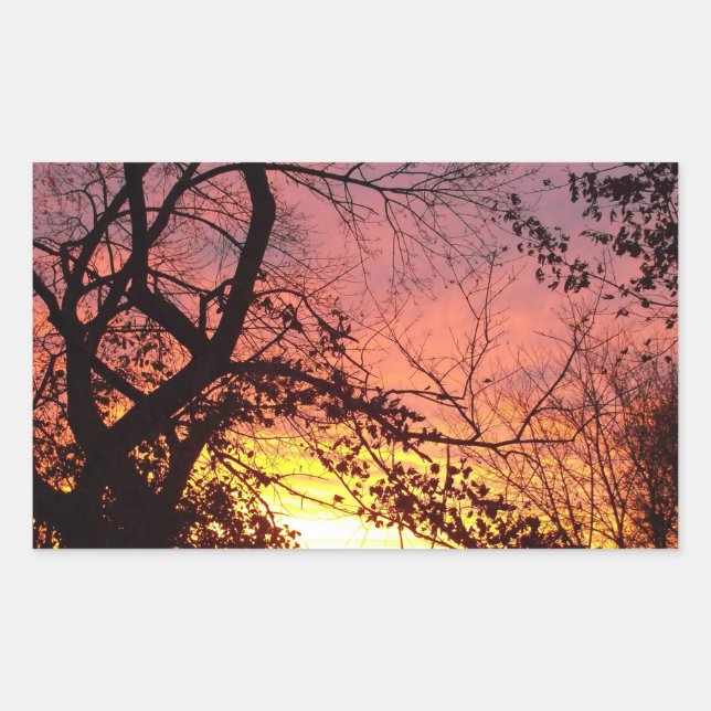 Colourful Sunset Through Bare Trees Rectangular Sticker (Front)