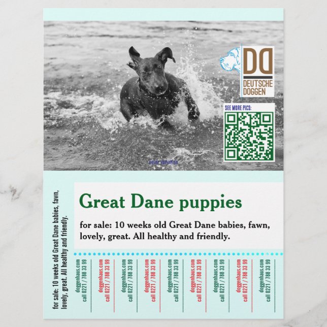 Colourful tear off dog flyer  (Front)