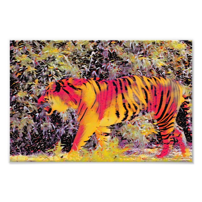 Colourful Tiger Photo Print (Front)