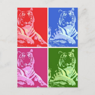 Colourful Tigers Postcard
