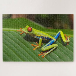 Colourful tiny frog jigsaw puzzle