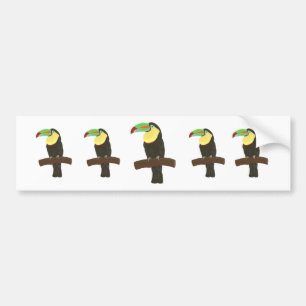 Colourful Toucans Painting Bumper Sticker
