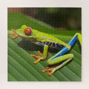 Colourful Tree Frog Jigsaw Puzzle