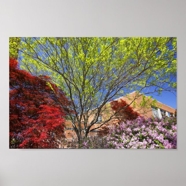 Colourful Trees and Bushes in Spring Poster (Front)