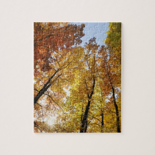 Colourful Trees Jigsaw Puzzle (Vertical)