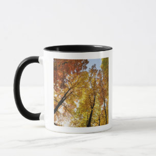 Colourful Trees Mug