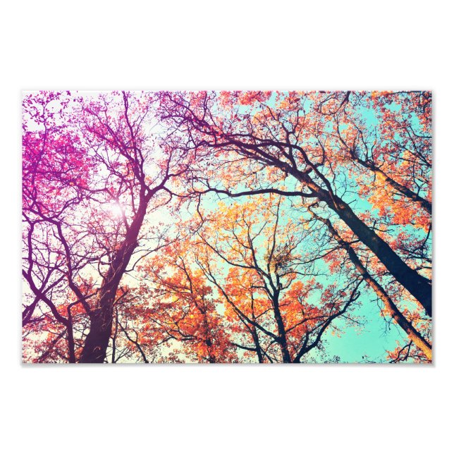Colourful trees photo print (Front)