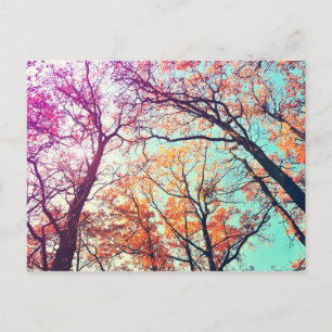 Colourful trees postcard