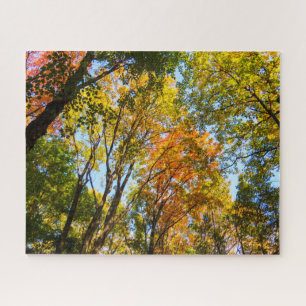 Colourful Treetops Jigsaw Puzzle