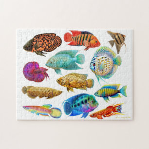 Colourful Tropical Aquarium Fish Puzzle