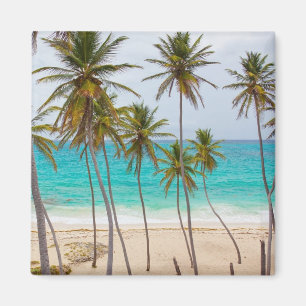 Colourful Tropical Beach Magnet
