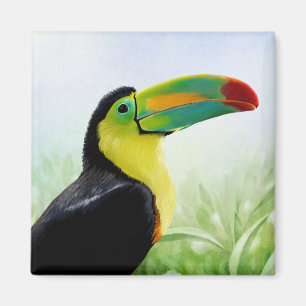 Colourful Tropical Bird Black Yellow Green Toucan Magnet