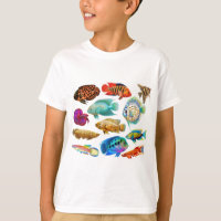 Colourful Tropical Fish