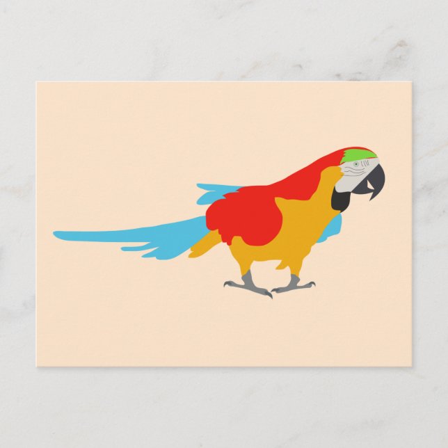 Colourful Tropical Macaw  Holiday Postcard (Front)