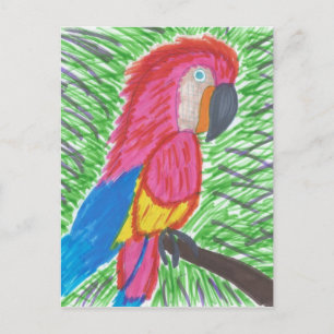 Colourful Tropical Macaw Postcard