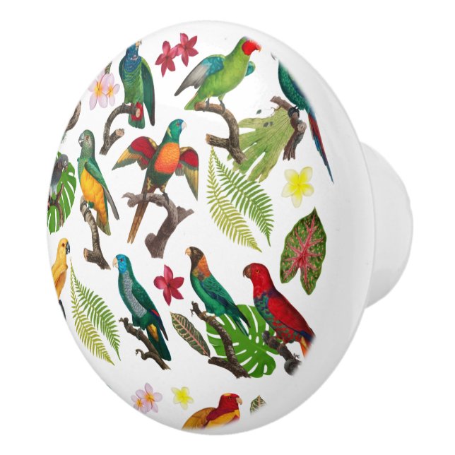 Colourful Tropical Parrots, Leaves & Flowers  Ceramic Knob (Right)