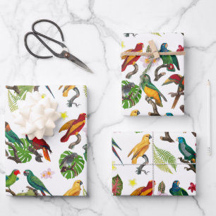 Colourful Tropical Parrots, Leaves & Flowers  Wrapping Paper Sheet