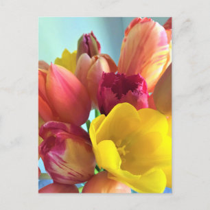 Colourful Tulip Bouquet Postcard