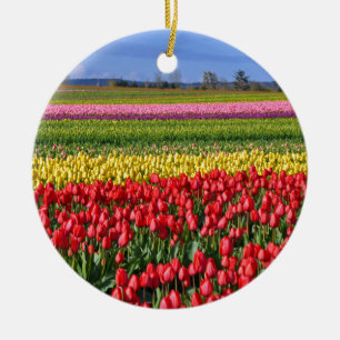 Colourful tulip field ceramic tree decoration