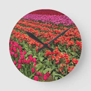 Colourful Tulip Field, Oregon Round Clock