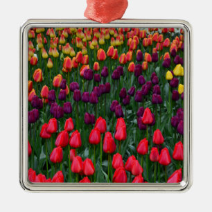 Colourful tulip flower garden metal tree decoration
