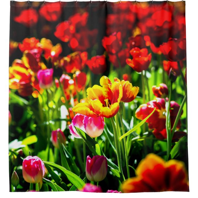 Colourful Tulip Flowers Shower Curtain (Front)