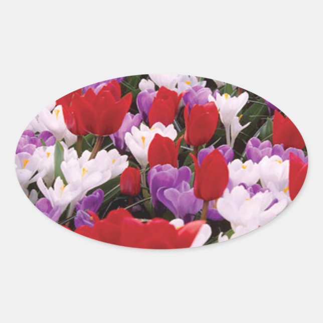 Colourful Tulip Flowers Stickers (Front)