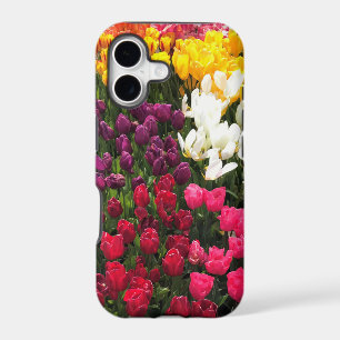 Colourful Tulip Garden Bed, Oregon