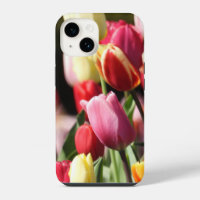 Colourful Tulip Garden