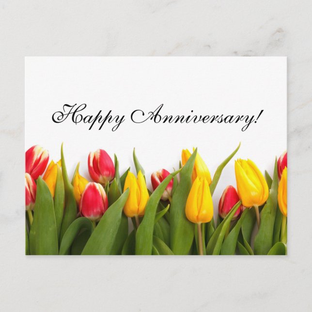 Colourful Tulips Anniversary Postcard (Front)