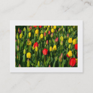 Colourful Tulips Business Card