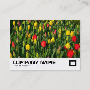 Colourful Tulips Business Card