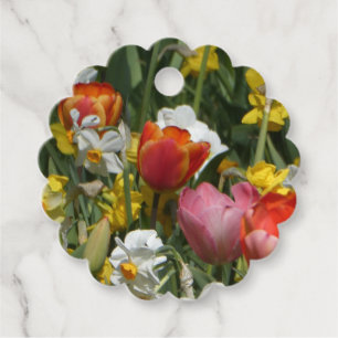 Colourful Tulips & Daffodils Favour Tags