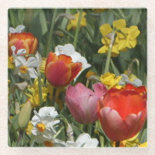 Colourful Tulips & Daffodils Flowers Coaster