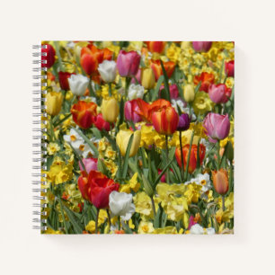 Colourful Tulips & Daffodils Flowers Notebook