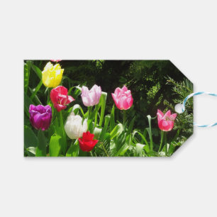 Colourful Tulips DIY Gift Tag