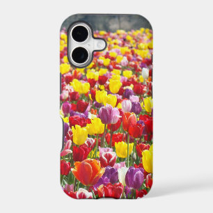 Colourful Tulips Festival iPhone 5 cases