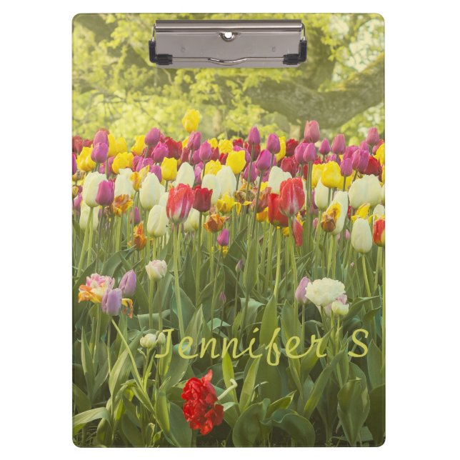 Colourful tulips in a park personalised  clipboard (Front)