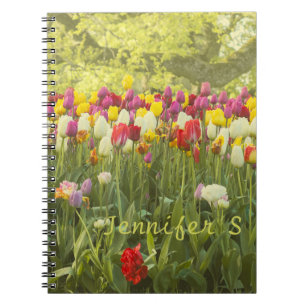 Colourful tulips in a park personalised notebook