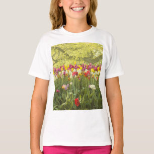 Colourful tulips in a park   T-Shirt