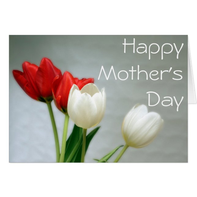 Colourful Tulips Mother's Day Card (Front Horizontal)